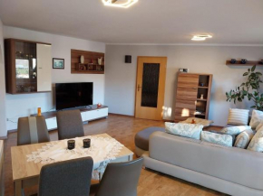 Ferienhaus Pöhlablick Pöhla